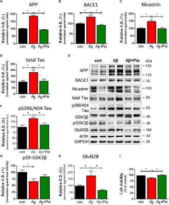 Activated PPARγ Abrogates Misprocessing of Amyloid Precursor Protein, Tau Missorting and Synaptotoxicity